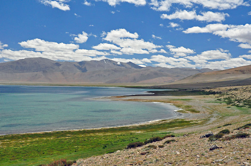 Ladhak, Indie 2011