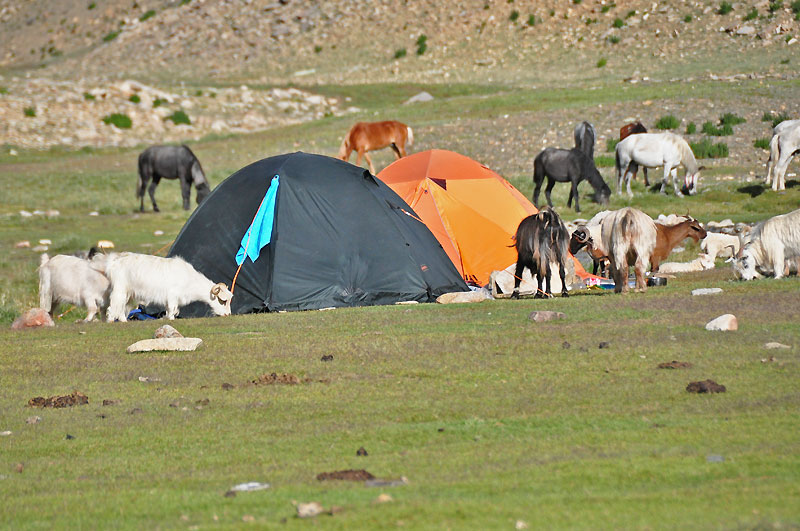 Ladhak, Indie 2011