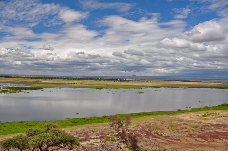 Nrodn park Amboseli