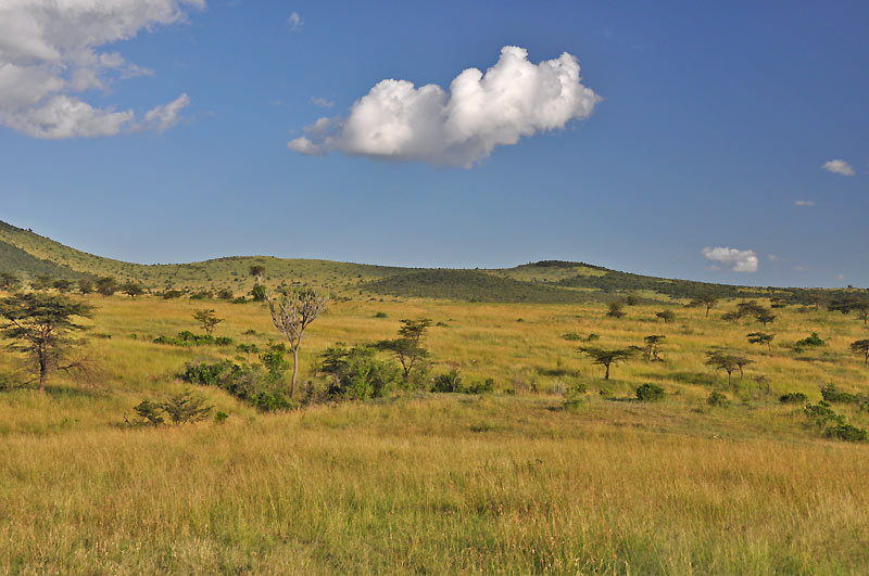Masai Mara