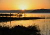 V�chod slunce u jezera Baringo
