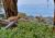 Leopard� maminka s ml�d�tem
