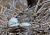 Copak se n�m to tady klube?