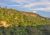N�rodn� park Hells Gate