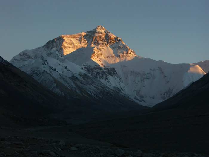 Foceno z kltera Rongphu