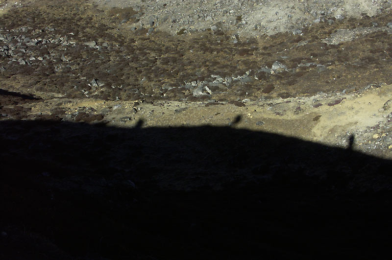 Nepl 2005
