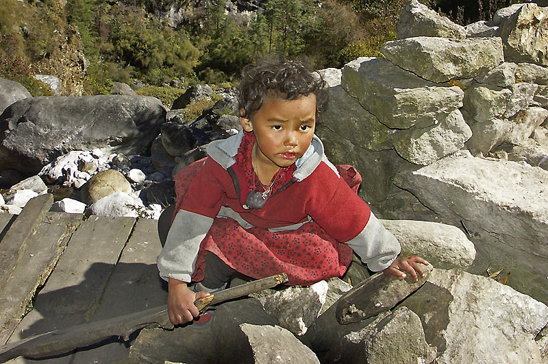 Nepl 2005