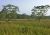 Nepl 2005