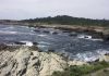 Point Lobos State Park