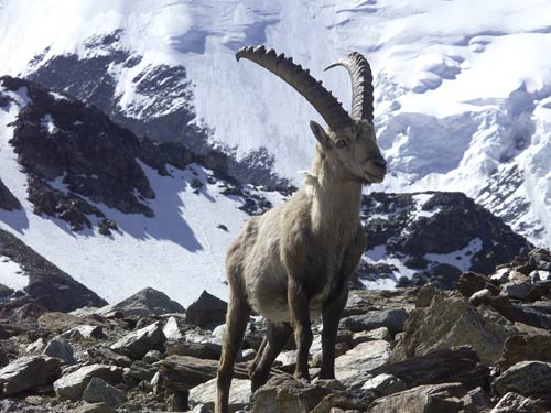 Ani nic necht�l za pozov�n�