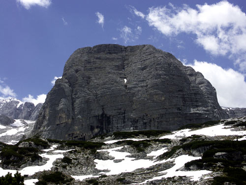 utr Nieo 2215m