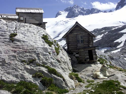 I bezdomovci by jim mohli z�vid�t