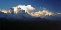 Sample image from gallery