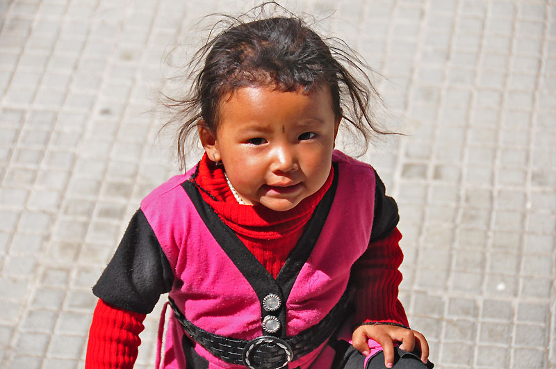 Ladhak, Indie 2011