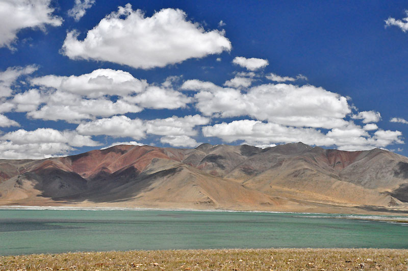Ladhak, Indie 2011