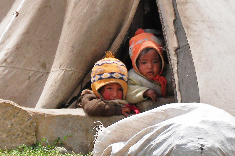 Ladhak, Indie 2011