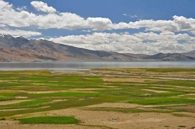 Ladhak, Indie 2011