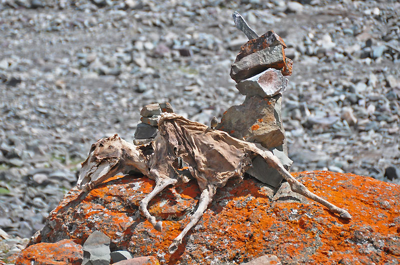 Ladhak, Indie 2011