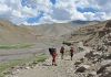 Ladhak, Indie 2011