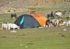 Ladhak, Indie 2011