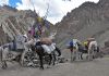Ladhak, Indie 2011