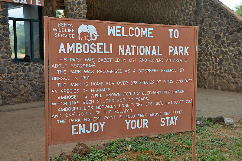 Vstupn brna - Amboseli