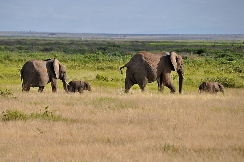 Kenya 2010