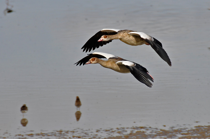 Kenya 2010