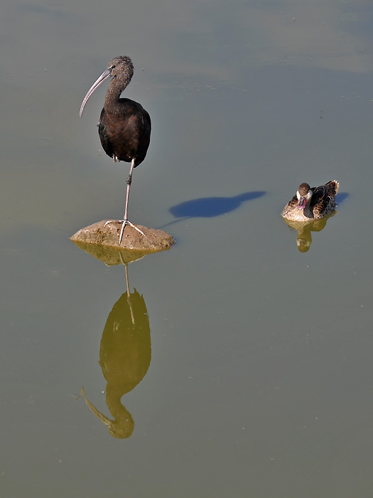 Kenya 2010