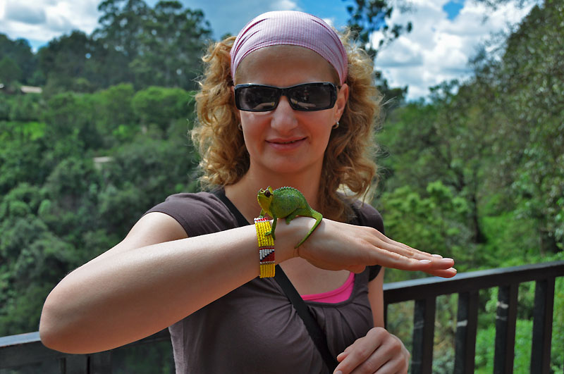 Chameleon barvc se podle nramku