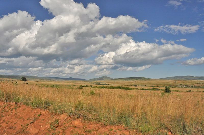 Masai Mara