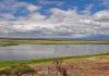 Nrodn park Amboseli