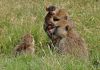 Kenya 2010