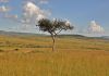 Masai Mara