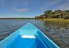 Naivasha lake