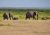 Kenya 2010