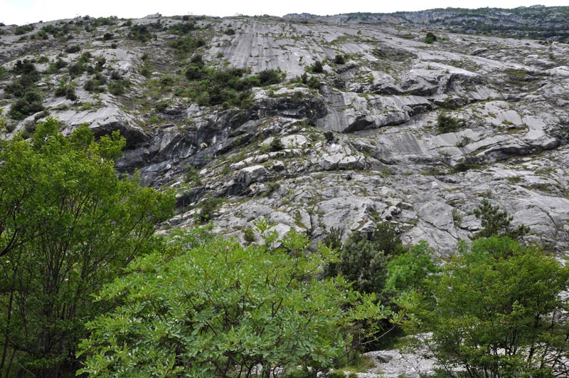 Slunen plotny kousek od Arca