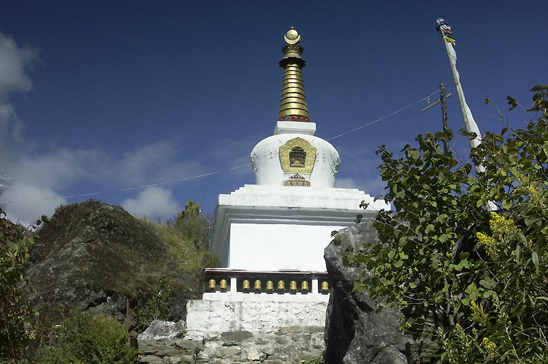 Nepl 2005