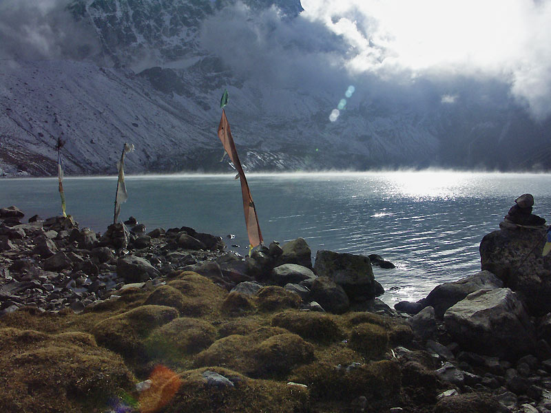 Nepl 2005