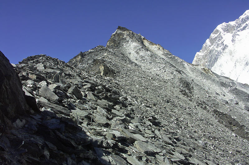 Nepl 2005