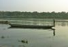 Nepl 2005