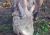 Nepl 2005