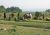 Nepl 2005