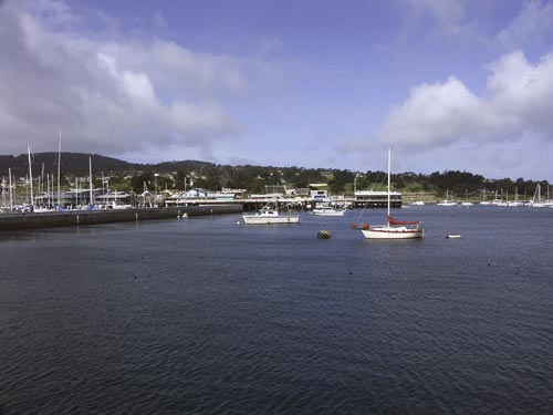 Monterey pstav