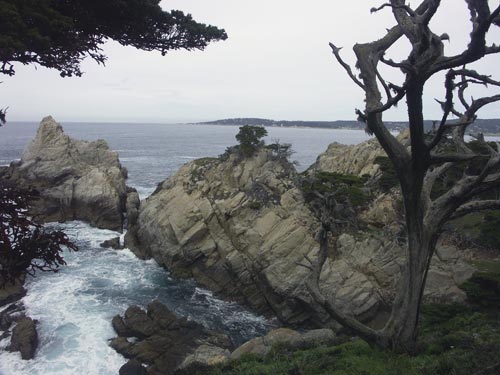 Point Lobos State Park