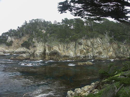Point Lobos State Park