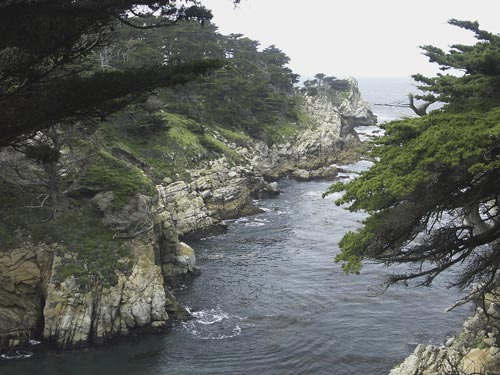 Point Lobos State Park