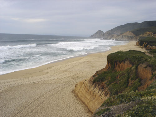 Ocean