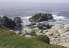 Coast