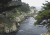 Point Lobos State Park